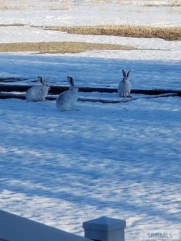 4563 E 75 N, Rigby, ID 83442