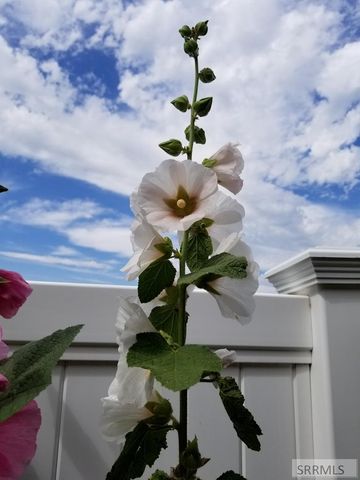 4563 E 75 N, Rigby, ID 83442