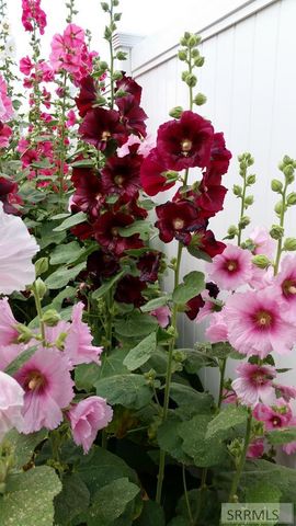 4563 E 75 N, Rigby, ID 83442