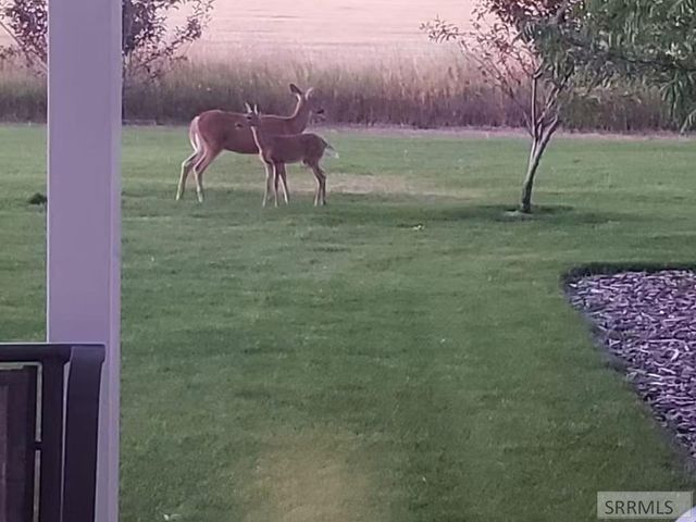 4563 E 75 N, Rigby, ID 83442