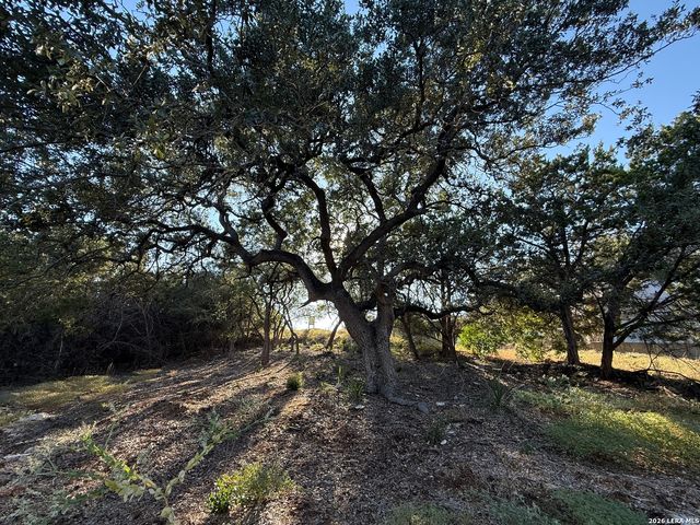 8004 Arbor Vlg, Boerne, TX 78015