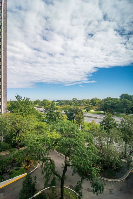 4250 N Marine Drive 705, Chicago, IL 60613 — photo 3