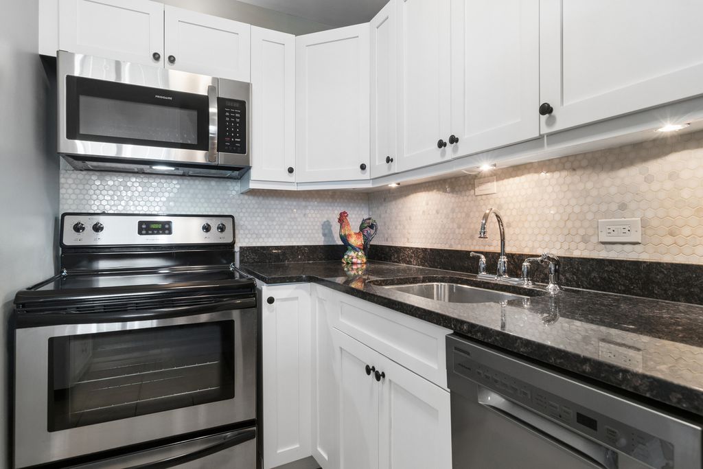 4250 N Marine Drive 705, Chicago, IL 60613 — photo 5