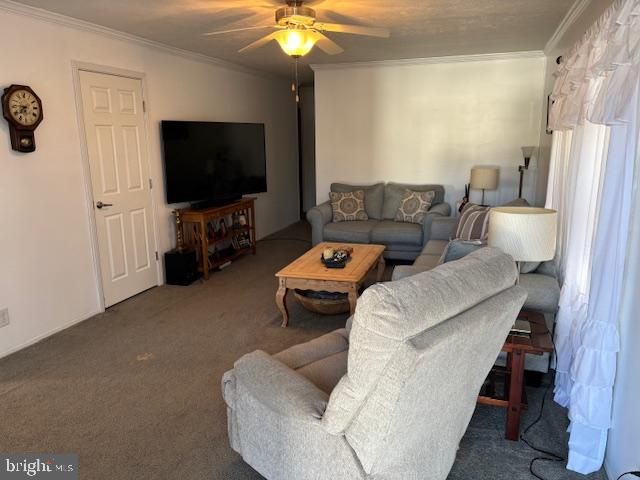 31706 JANICE RD, Lewes, DE 19958