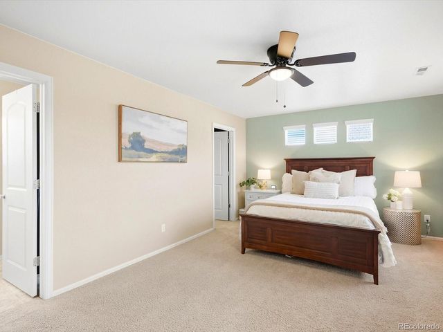 1564 Harpendon Court, Windsor, CO 80550