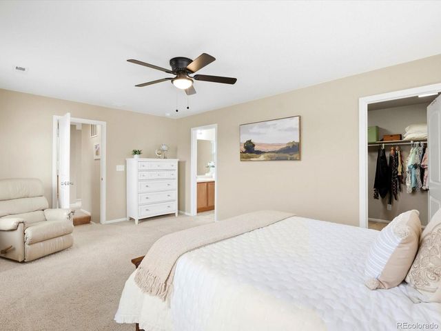 1564 Harpendon Court, Windsor, CO 80550
