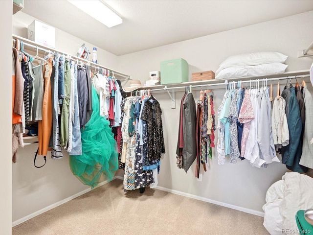 1564 Harpendon Court, Windsor, CO 80550