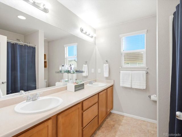 1564 Harpendon Court, Windsor, CO 80550