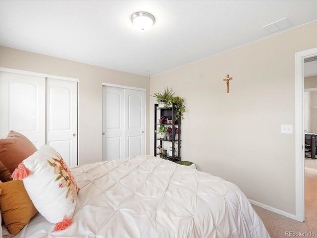 1564 Harpendon Court, Windsor, CO 80550