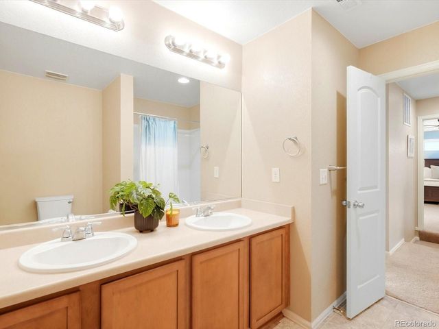 1564 Harpendon Court, Windsor, CO 80550
