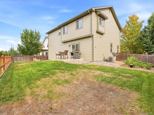 1564 Harpendon Court, Windsor, CO 80550