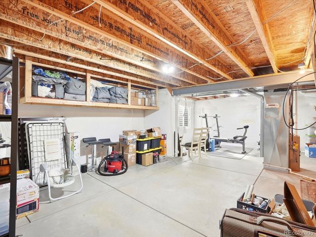 1564 Harpendon Court, Windsor, CO 80550