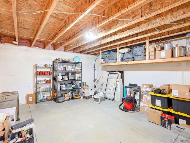 1564 Harpendon Court, Windsor, CO 80550