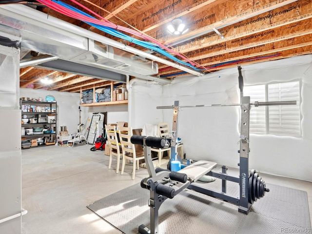 1564 Harpendon Court, Windsor, CO 80550