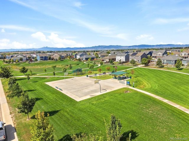 1564 Harpendon Court, Windsor, CO 80550