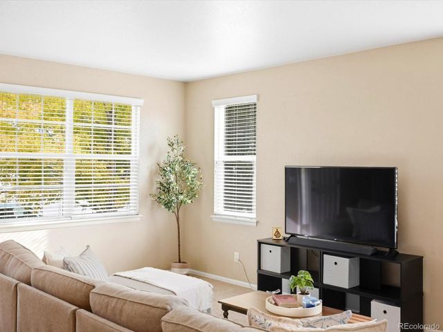 1564 Harpendon Court, Windsor, CO 80550