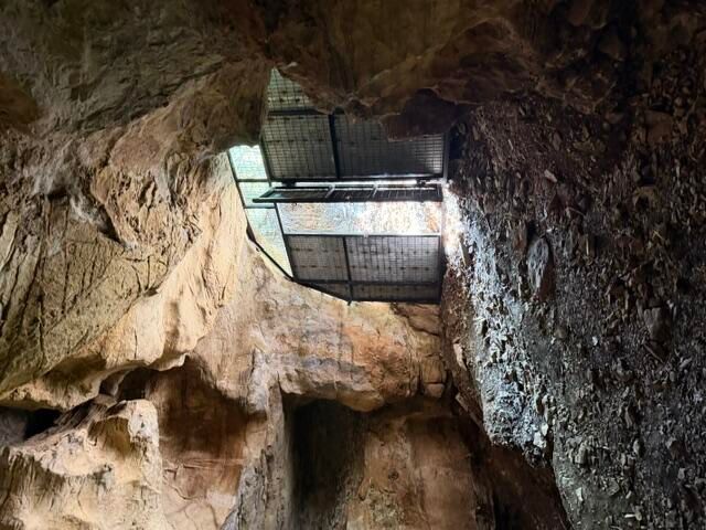 14129 Hwy 311, Green Forest, AR 72638
