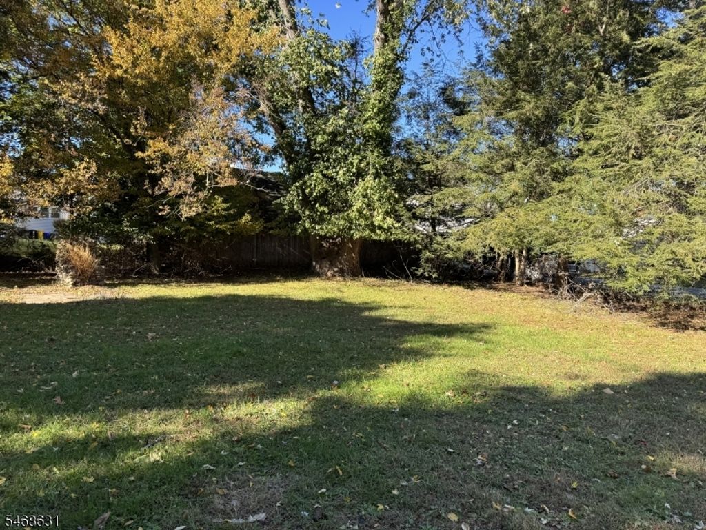 16 Linden Ave, Lincoln Park Boro, NJ 07035 — photo 4