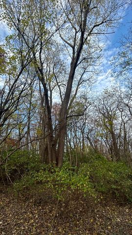21860 W Il-113 Highway, Custer Park, IL 60481