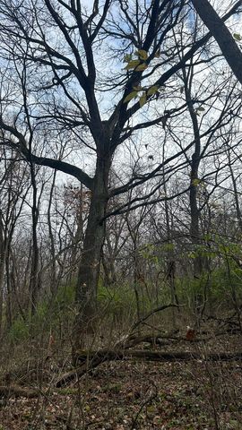 21860 W Il-113 Highway, Custer Park, IL 60481