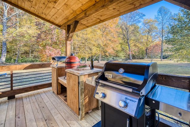 20 Wolf Den Valley, Mineral Bluff, GA 30559