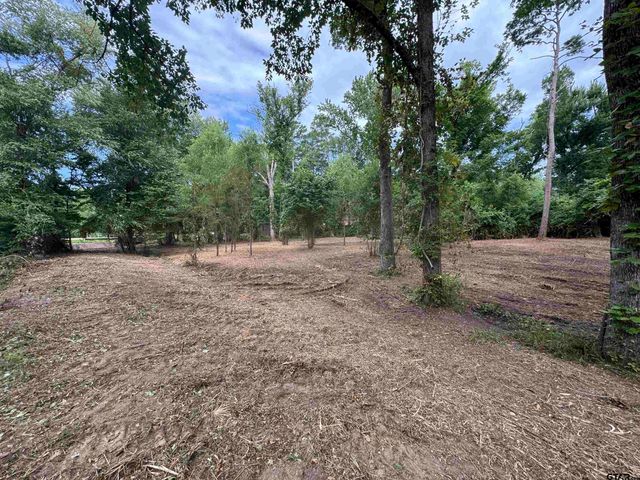 4933 Kirkcaldey Dr, Tyler, TX 75703