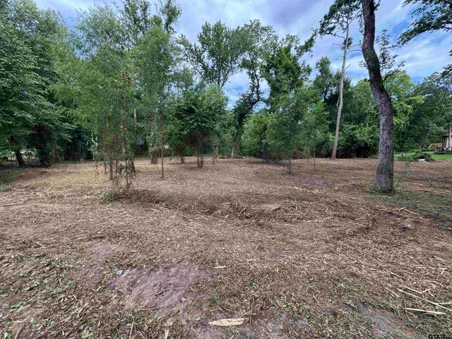 4933 Kirkcaldey Dr, Tyler, TX 75703