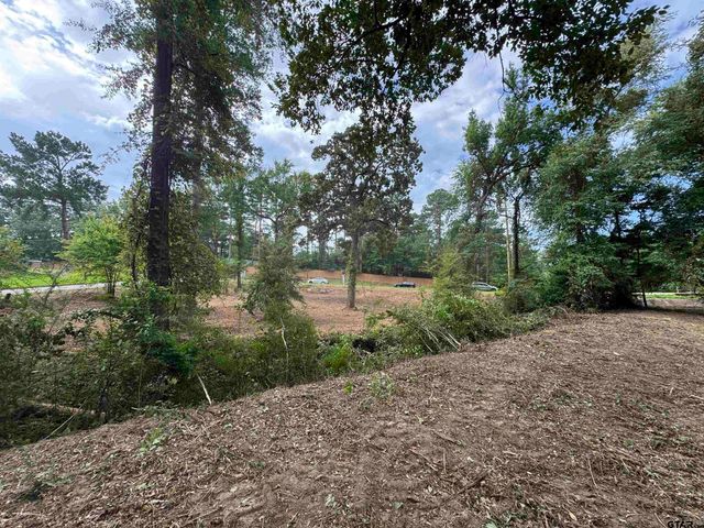 4933 Kirkcaldey Dr, Tyler, TX 75703