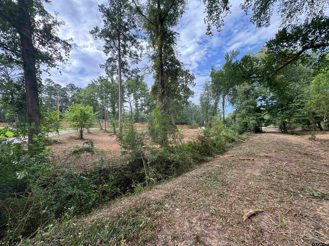 4933 Kirkcaldey Dr, Tyler, TX 75703