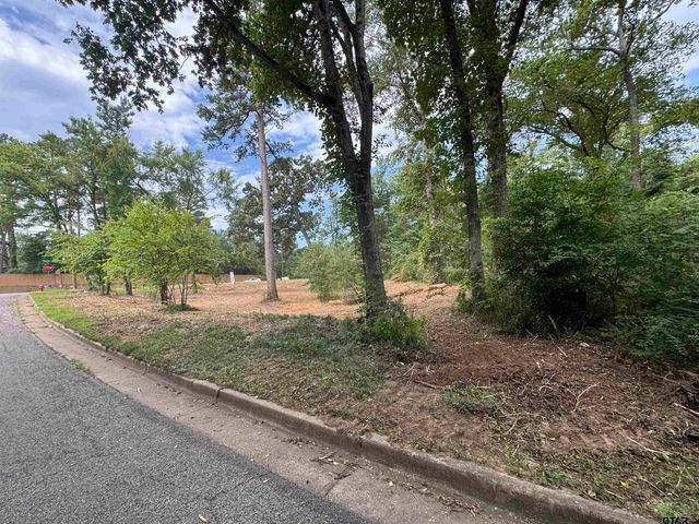 4933 Kirkcaldey Dr, Tyler, TX 75703