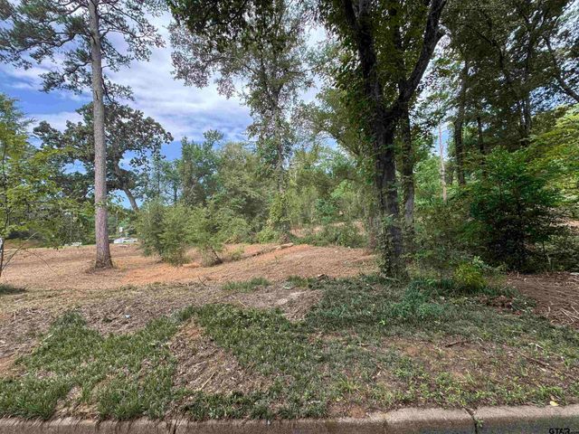 4933 Kirkcaldey Dr, Tyler, TX 75703