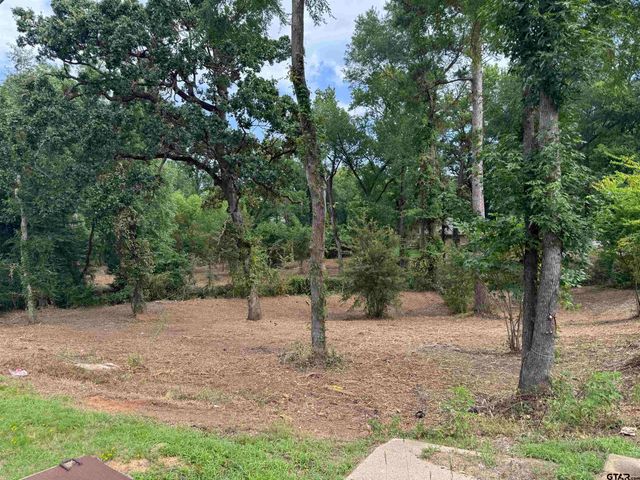 4933 Kirkcaldey Dr, Tyler, TX 75703