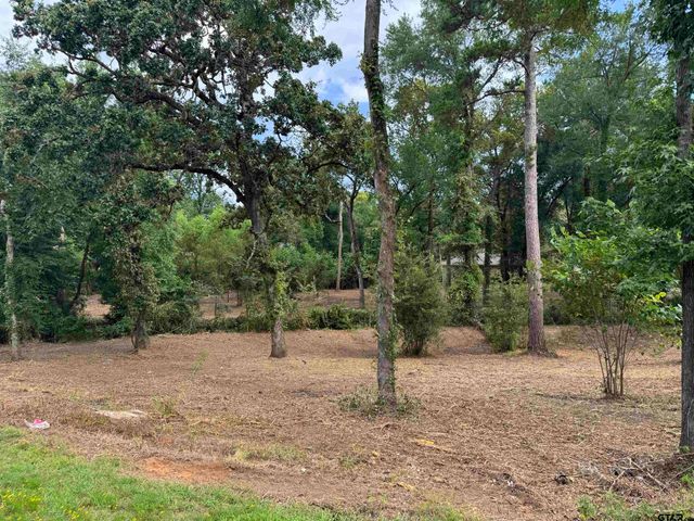4933 Kirkcaldey Dr, Tyler, TX 75703