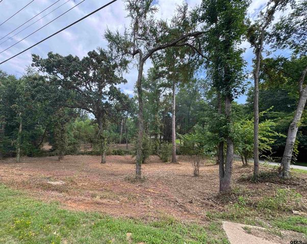 4933 Kirkcaldey Dr, Tyler, TX 75703