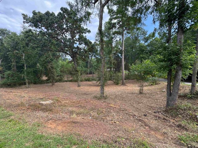 4933 Kirkcaldey Dr, Tyler, TX 75703