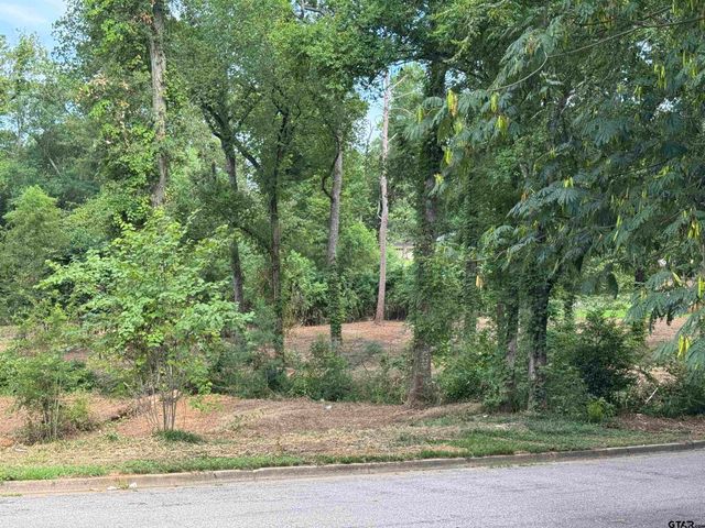 4933 Kirkcaldey Dr, Tyler, TX 75703