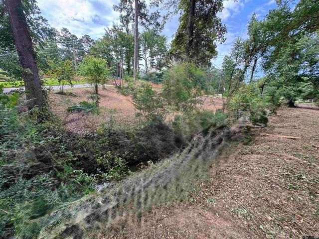 4933 Kirkcaldey Dr, Tyler, TX 75703