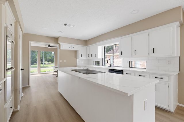 15626 Ripplewind Ln, Houston, TX 77068