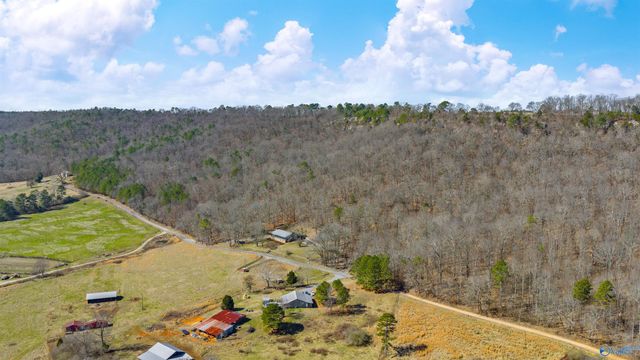 6654 County Road 223, Collinsville, AL 35961