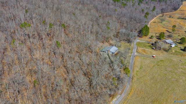 6654 County Road 223, Collinsville, AL 35961