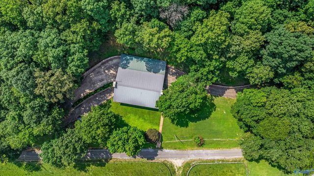 6654 County Road 223, Collinsville, AL 35961