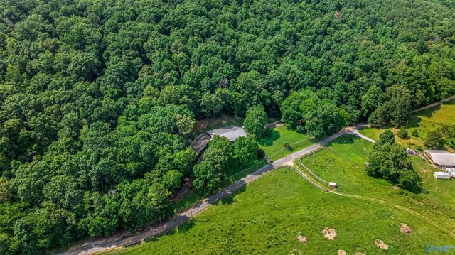 6654 County Road 223, Collinsville, AL 35961