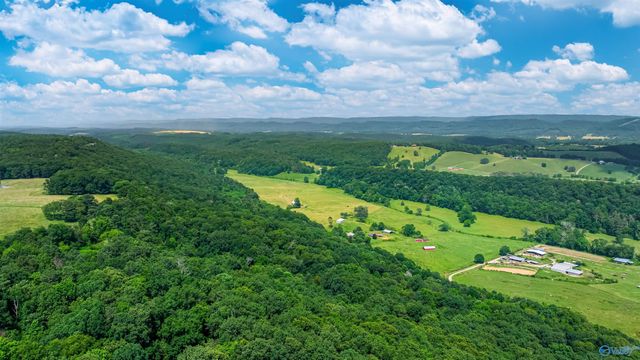 6654 County Road 223, Collinsville, AL 35961