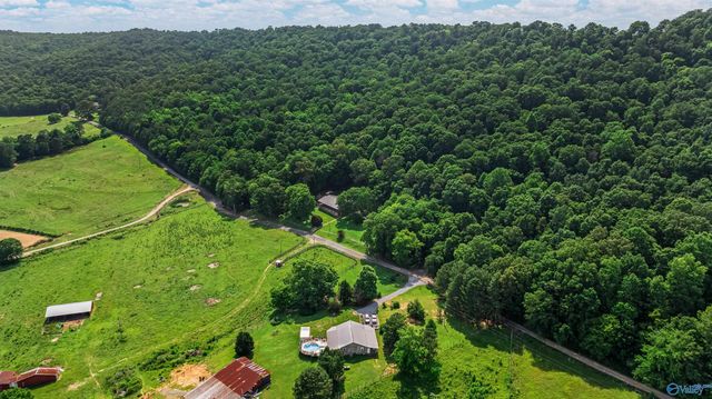 6654 County Road 223, Collinsville, AL 35961