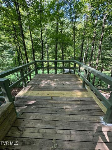 2320 Devault Bridge Road, Piney Flats, TN 37686