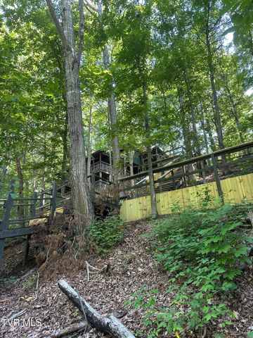 2320 Devault Bridge Road, Piney Flats, TN 37686