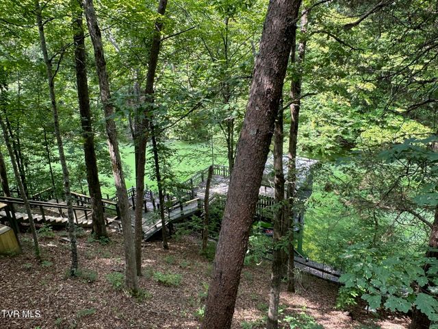 2320 Devault Bridge Road, Piney Flats, TN 37686