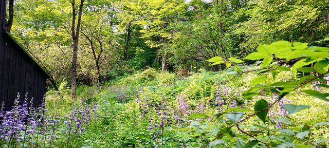 117 Barrett Hill Road, Wilton, NH 03086