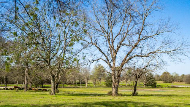 141 Lcr 405, Mexia, TX 76667