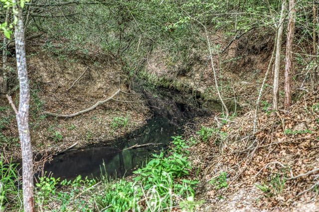 7157 Fm 1697, Carmine, TX 78932